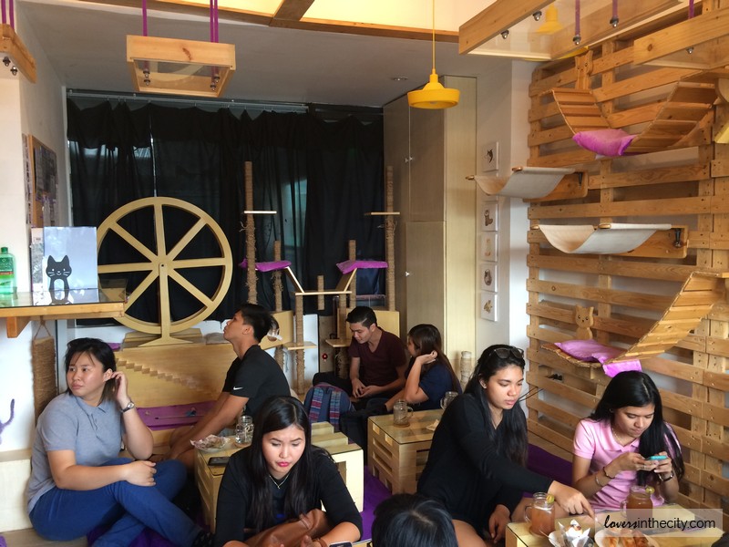 Cat Cafe Manila- Maginhawa Street, Quezon City – Lovers in the City